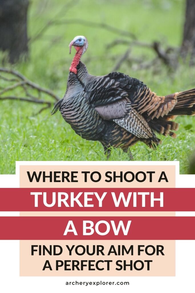 where to shoot a turkey with a bow