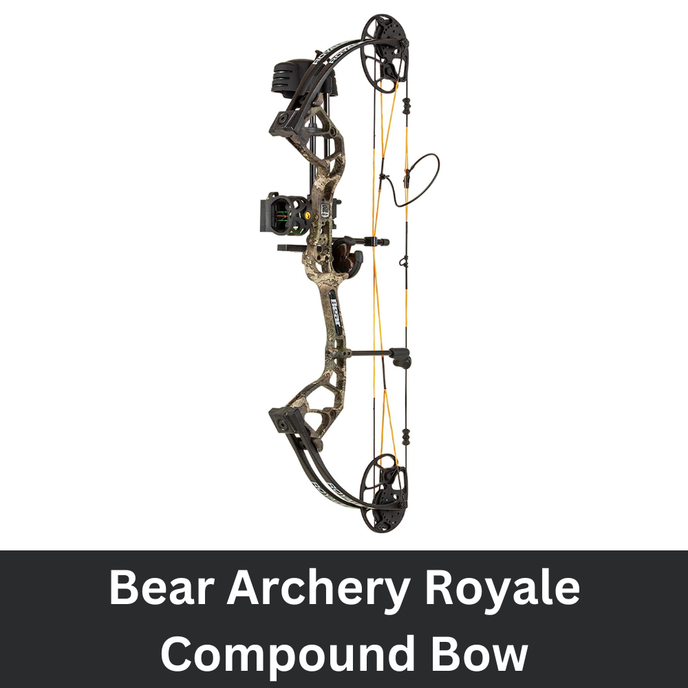 Bear Archery Royale Compound Bow for Youth