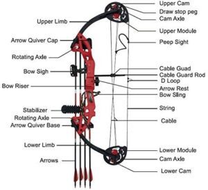 Parts of a Compound Bow Unveiled - Archery Explorer