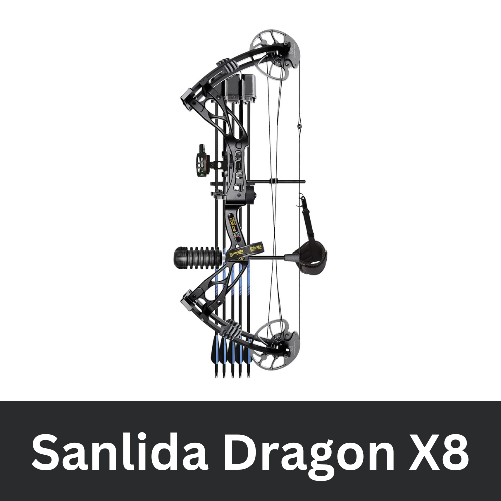 Sanlida Dragon X8 Review
